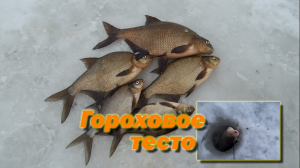 Отличная насадка для ловли леща зимой и летом! Гороховое тесто с чесноком.mp4