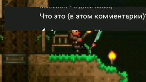 Ответы на вопросы в террарии