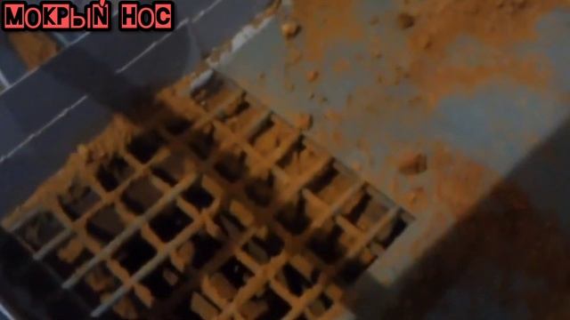 ЧЕМ КОРМИТЬ СОБАКУ? Полезные добавки за копейки