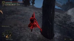 Elden Ring | Двуручный меч Ордовиса | 30 +3 | Вторжения