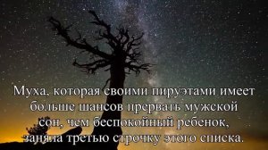 Мужчину скорее разбудит назойливая муха, чем плач ребенка — ученые  — Статья