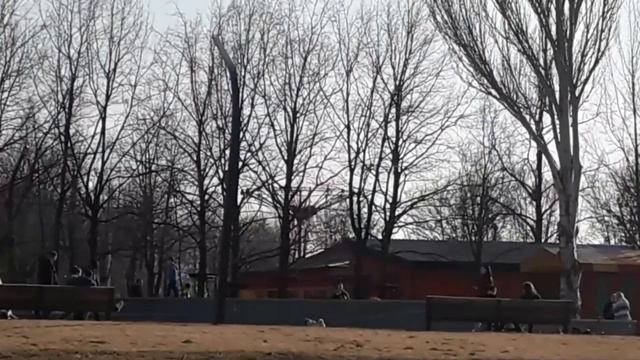 Счастье в Мелочах  /  Харьков 22 марта 2023