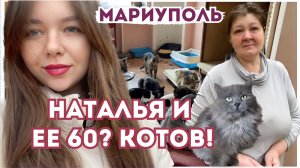 МАРИУПОЛЬ. КАК СЕЙЧАС ЖИВЕТ НАТАЛЬЯ И ЕЕ 60 КОТОВ?