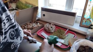 Как сделать вазу из пластиковой трубы и коры в природном стиле своими руками.