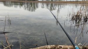 18.04.22 рыбалка в краснодарском крае