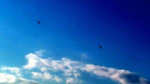 Черкассы День города 2012