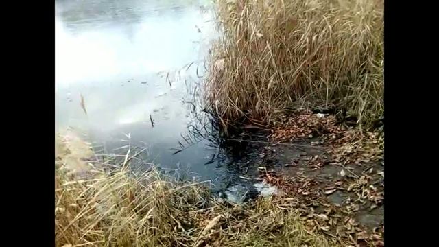 Сызрань! Поисковый магнит.Второй выход за завод. смотреть онлайн