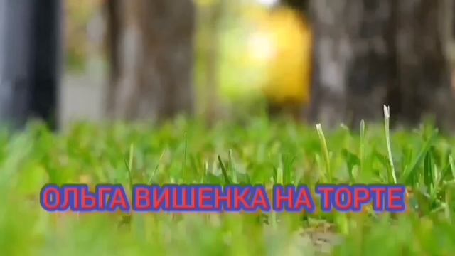 ЖИЗНЬ УДАЛАСЬ НА СЛАВУ! ПИРАТСКАЯ ЖИЗНЬ. ОБЗОР.