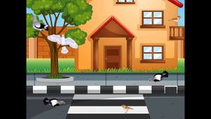 Птички и автомобили