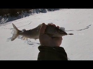 АПРЕЛЬСКАЯ РЫБАЛКА С ДРУЗЬЯМИ \ Часть 1