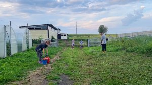 Сами не справились. Пришлось обращаться за помощью. Готовимся к стройке. Собираем урожай.