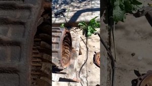 Подробный разбор электродвигателя на медь,цены на метал, металлокоп рядом с домом ????