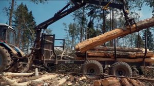 Подключение лесного  прицепа Тигер к трактору Беларус 82 1