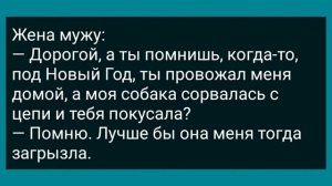 Кум в Бане Попросил Куму Снять Трусы! Сборник Свежих Анекдотов! Юмор!