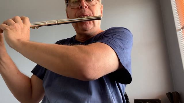 Buffet Crampon flute for sale смотреть онлайн