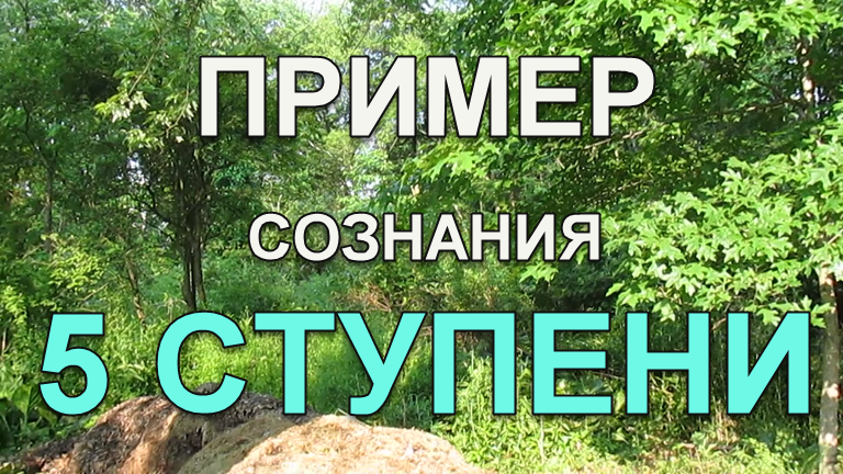 Наш современник с сознанием 5 ступени (гений)