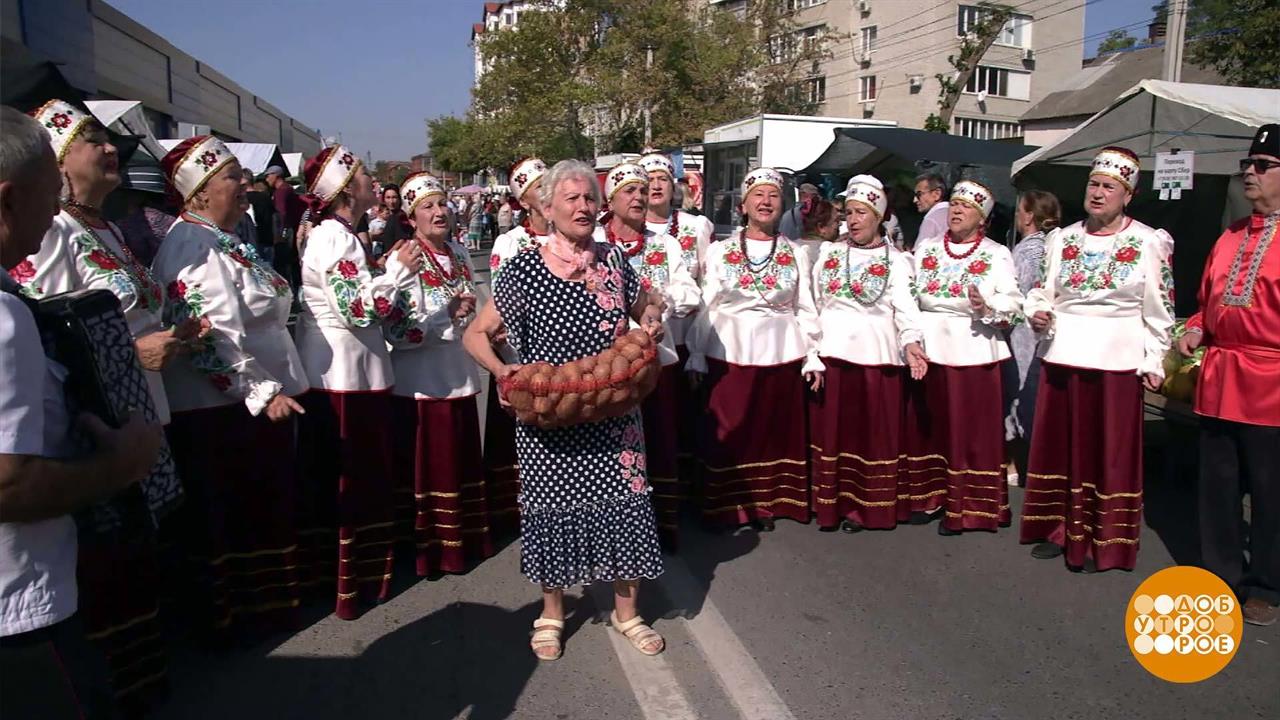 Осенние ярмарки: сейчас точно спою! Доброе утро. Фрагмент выпуска от 29.09.2023