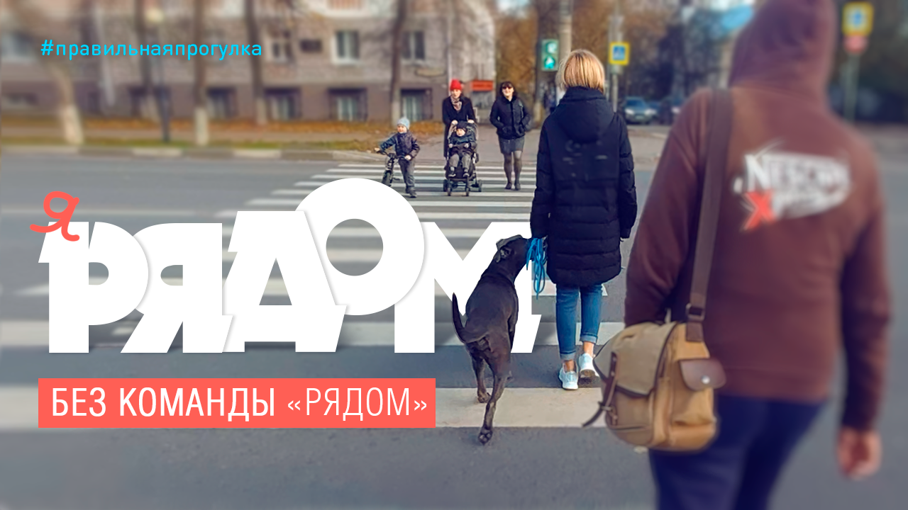 Рядом, без команды «рядом»
