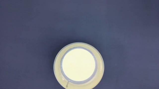 Киш лорен смотреть онлайн