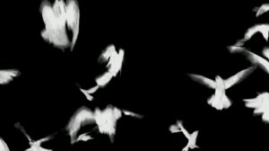 ЛИТВИНЕНКО - Летали