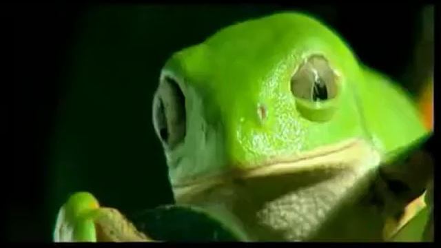 Реклама KIA FORTE Hybrid смотреть онлайн