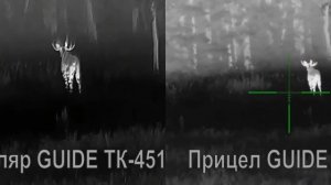 Охота на лося на вабу. Бык не трофейный. Тепловизор Guide ТК451, тепловизионный прицел Guide TU430