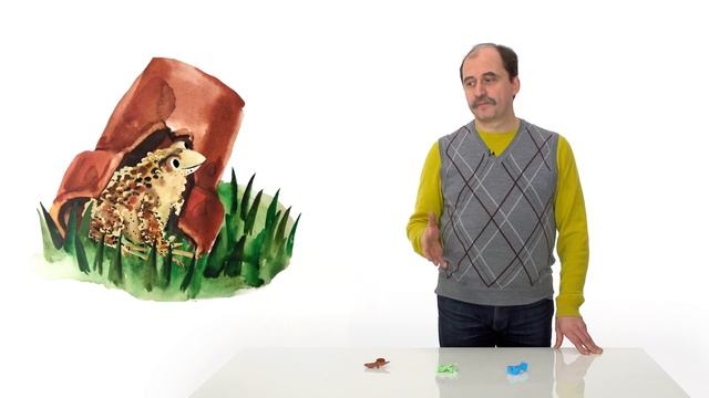 13. Земноводные. Часть 2 смотреть онлайн