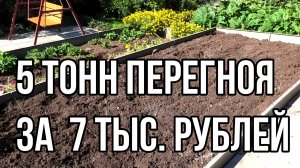 Три дня заполняли пустой короб. Перец Сладкоежка от Гавриш. .26 августа 2024.