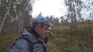 Осенние Грибы начало волны! | Черноголовик - лучший из Подберезовиков! | Наконец то дождались