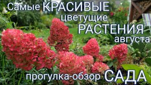 Самарская Лидия покорила ) ! Прогулка - обзор нашего САДА . Начало осени -  очень красивая пора ) !