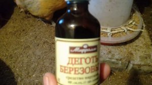 Обрабатываю курочек Березовым Дегтем от выщипывания перьев друг у друга.