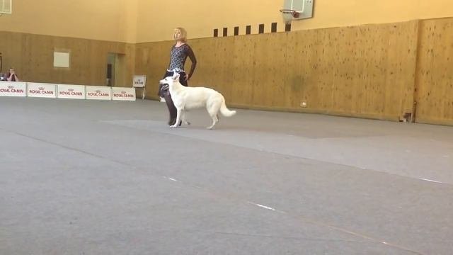 Алимова Ольга