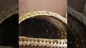 Корзина грибная