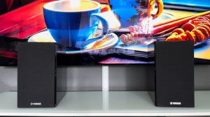 Yamaha ns-bp301 speakers looking inside Test