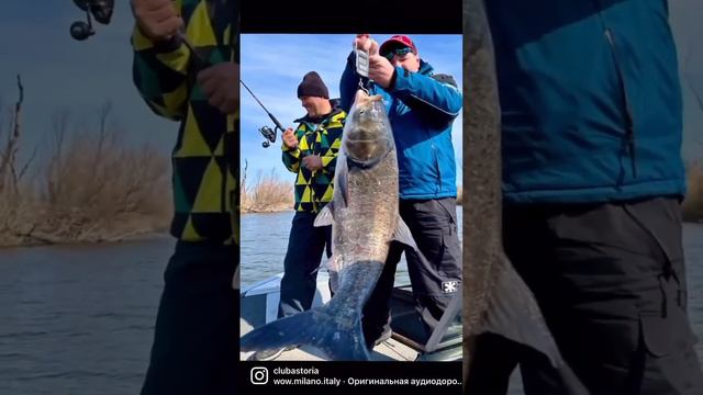 Астрахань-Мекка рыболов! Рыболовные базы уже открыты рыбалка в марте стартовала В уловах щука, суда