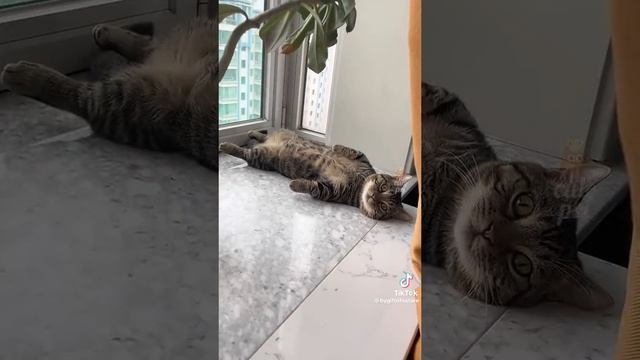 смешно