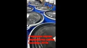 Переработка грибов на производстве, сентябрь 2019 г.