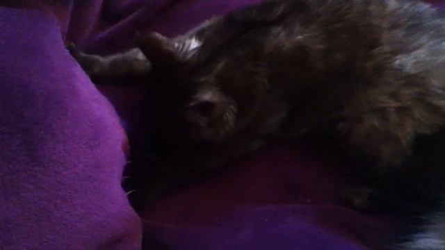 Молочный шаг смотреть онлайн