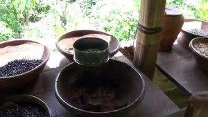 Бали.  Кофе лювак (Kopi Luwak) – самый дорогой кофе в мире... из какашек