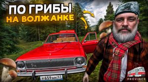 ДЕД ПОЕХАЛ за ГРИБАМИ! ПРИБЫЛЬНО ИЛИ НЕТ? (MTA Province)