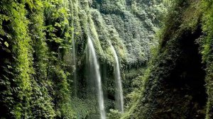 Красивая музыка на флейте. Расслабляющая китайская музыка для души!!!