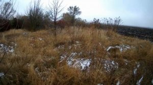 ОХОТА НА ЗАЙЦА В ЗАБРОШЕНЫХ САДАХ.mp4