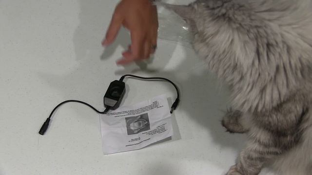 Ledwholesalers Inline PWM 12 Volt 2 Amp Dimmer for LED Strips with DC Jack Unboxing смотреть онлайн