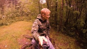 Щенок лайки, воспитание 12