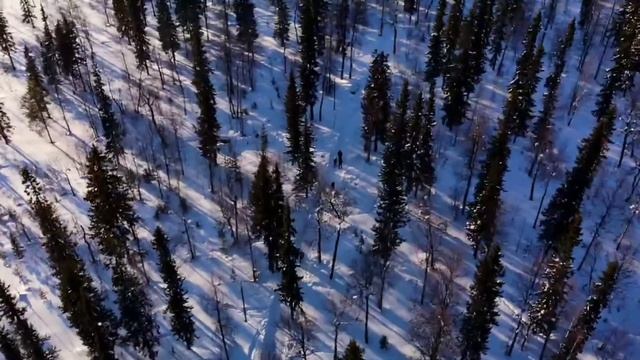 Усинск Р. Коми тропа здоровья весна 2021 полеты смотреть онлайн