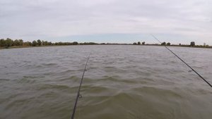 За хищником Осенняя рыбалка в Астрахани на джиг