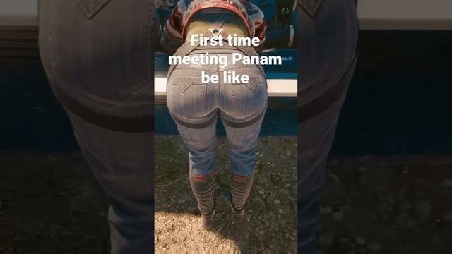 Cyberpunk 2077 Meeting Panam for the first time be like