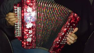 Шансон под гармонь. Пусти меня ты мама (М. Круг)