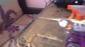 Краска обратной проекции/Paint rear projection.