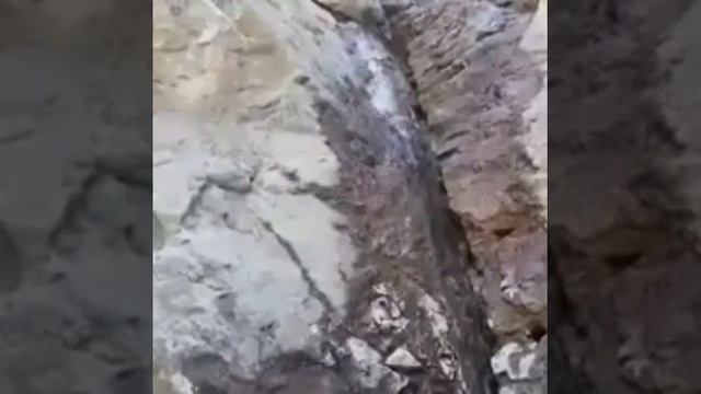 Шипа СУ смотреть онлайн